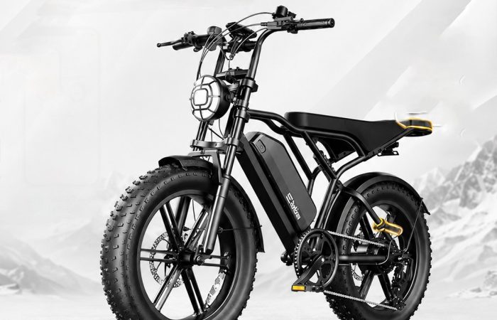 Moped Style Electric Bike for Adults
